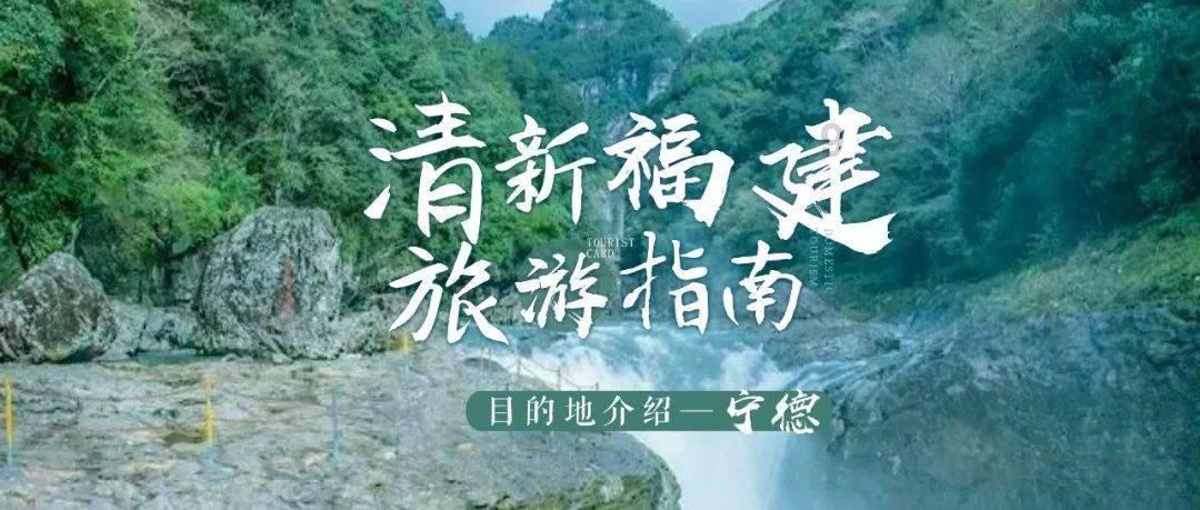 Sorlife:学习很认真,成绩就是上不去?可能是大脑能量没跟上